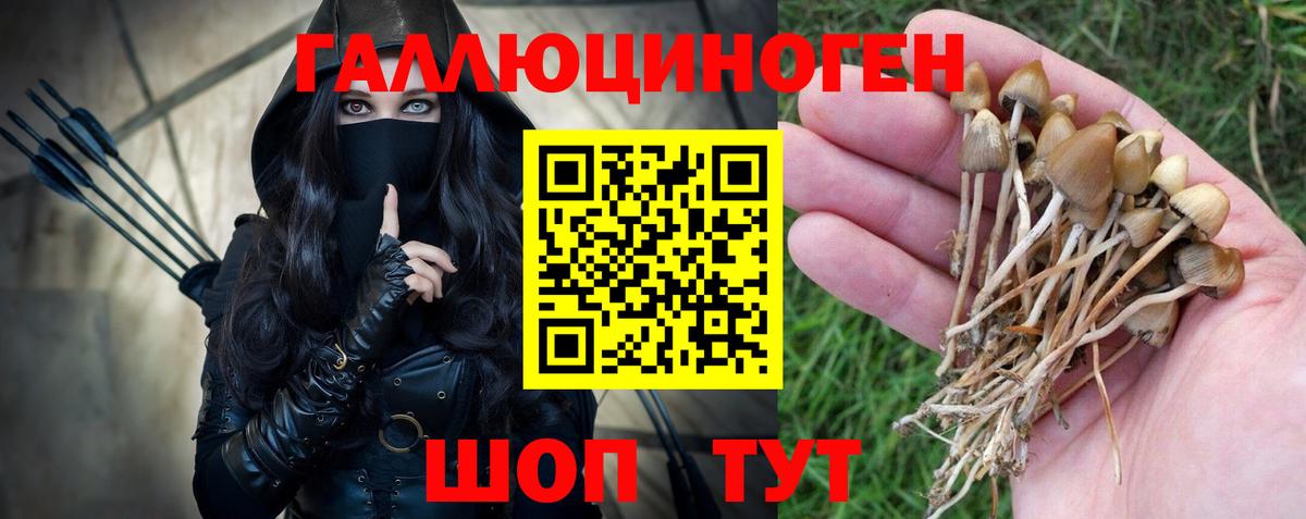 Псилоцибиновые грибы ЛСД Канаш